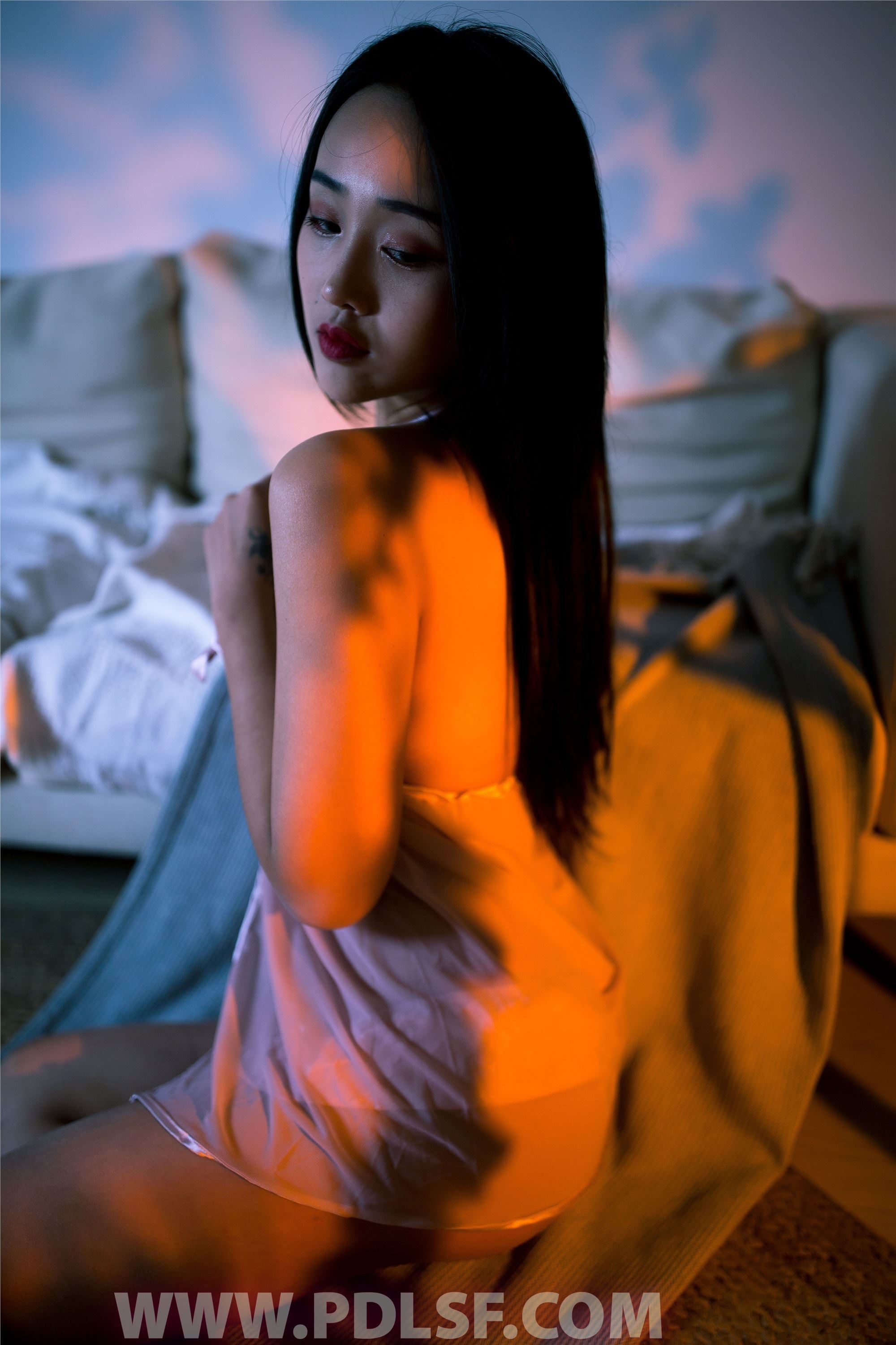 PDL潘多拉 2020.01.10 专辑No.265